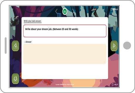 Write Your Answer