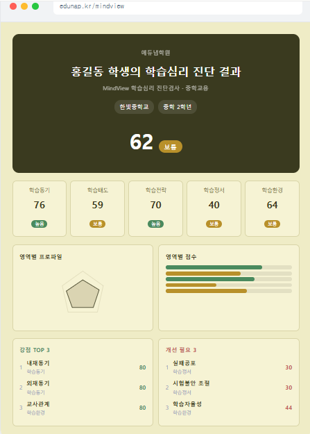 학습심리 진단 결과 예시